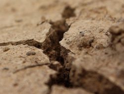 Dua Gempa Terjadi di Sumba Timur dan Kabupaten Malang