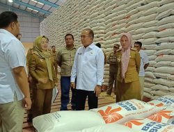 Stok Beras di Gudang Bulog Aman Hingga Februari 2025