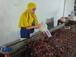 Usaha Kerajinan Kuping Gajah di Teluk Betung Timur Menjadi Sumber Ekonomi Utama Warga Setempat