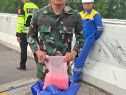 Pengemudi Kabur, 6 Tas Berisi 90.000 Ekstasi Ditemukan Usai Kecelakaan di Tol Trans Sumatra