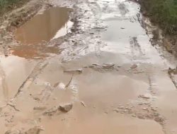 Jalan Permukiman Masih Berlumpur, Warga Sukarame Baru Desak Pemkot Bandar Lampung Segera Bertindak