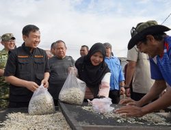 Wali Kota Bandar Lampung Dorong Pulau Pasaran Jadi Destinasi Wisata Unggulan