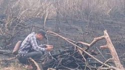 Api Karhutla Way Kambas Tak Lagi Terlihat, Bara di Dalam Gambut Masih Jadi Ancaman