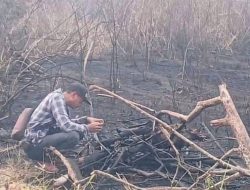 Api Karhutla Way Kambas Tak Lagi Terlihat, Bara di Dalam Gambut Masih Jadi Ancaman