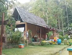 Penasaran dengan Terapi Lebah? Lembah Suhita Batu Putuk Jadi Tempat Warga Mencoba Pengalaman Unik